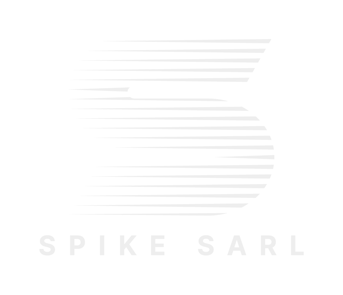 Logo Spike Sarl